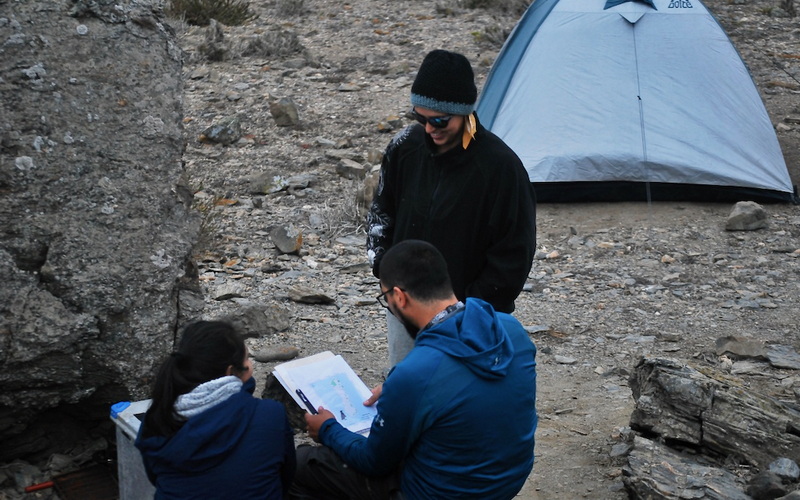 Landau 16 de abril de 2022  En la primavera y verano del hemisferio sur pasado, se llevaron a cabo las primeras encuestas del proyecto de seis años „investigación para la sobrevivencia“ (1) (2). El grupo de investigación entorno al Dr. Guillermo Luna (Universidad de Coquimbo) documentó el éxito reproductivo en las islas Choros y Chañaral, el grupo en torno al Dr. Alejandro Simeone (Universidad Andrés Bello, Santiago) determinó el número de parejas reproductoras en las islas importantes reproductoras. Debido a las malas condiciones climáticas, por ejemplo, marejadas, solo se pudieron contar 5 islas de reproducción en lugar de las 9 planificadas. Los recuentos faltantes se harán ahora en los meses de abril y mayo del 2022.  Censo Las cifras del censo hasta ahora recopiladas, es decir, el “resultado del medio tiempo”, son aterradoras. Los investigadores encontraron solo 161 y 381 parejas reproductoras en las dos islas más importantes, Chañaral y Choros. En 2018, en cambio, se identificaron 1.045 parejas reproductoras en Chañaral y 2.859 en Choros. En la isla muy pequeña de Tilgo, los investigadores contabilizaron 571 parejas reproductoras (en 2018 fueron 97), en la isla Pan de Azúcar 162 parejas reproductoras (en 2018 fueron 75).  No está claro cómo explicar la fuerte &quot;disminución&quot; de alrededor del 70% en las principales islas de reproducción. Dr. Simeone asume, entre otras cosas, que las cifras de 2018 se deben a errores metodológicos. El número de parejas reproductoras se determinó en aquel momento, mediante un Distance sampling - muestreo a distancia (método científico reconocido para estimar la densidad de las poblaciones). Esto podría haber llevado a sobreestimaciones. En los conteos actuales, las parejas reproductoras se contaron en forma tradicional cara a cara, es decir, directamente en el nido. Además, se utilizó el muestreo a distancia para poder comparar los resultados de ambos métodos. Con esto se vio, que el muestreo a distancia conduce a sobreestimaciones claras.  El resultado muy positivo en la isla muy pequeña de Tilgo es políticamente muy significativo. Tilgo está ubicada directamente en la ruta de envío del puerto de carga planificado, por lo que esta colonia de pingüinos está particularmente amenazada.  Monitoreo El grupo de trabajo de Luna estudió 40 parejas reproductoras (nidos activos) en la isla de Chañaral. 5 (12,5%) nidos fueron abandonados durante la época de reproducción. El éxito reproductivo estimado para la colonia fue de 1,03 volantones por nido (41 volantones/40 nidos monitoreados). En la isla de Choros, el grupo estudió a 77 nidos activos. Ninguno de los nidos fue abandonado durante la temporada de reproducción. El éxito reproductivo estimado para la isla de Choros fue de 1,43 pichones por nido (110 pichones/77 nidos monitoreados).  Cómo se evaluará el éxito reproductivo con las cuotas de 1,43 y 1,03, deberá permanecer por el momento abierto, ya que no hay datos comparativos. Sólo cuando se hayan realizado futuros estudios se podrá clasificar el éxito reproductivo.  W.K.   Traducido por Vania   Obs. (1) El trabajo de investigación son promovidos por el Zoológico de Dresde, los Amigos del Zoológico de Hagenbeck en Hamburgo y la Fundación para la Conservación de Especies del Zoológico de Karlsruhe. (2) vea el artículo „investigación para la sobrevivencia“ en esta página