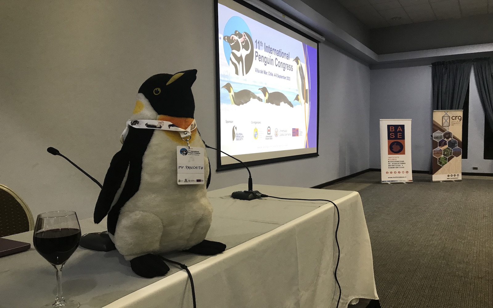 11th International Penguin Congress