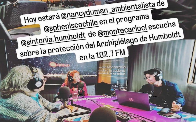 Literature Competition and Environmental Radio     -sphenisco-chile launches new initiatives-