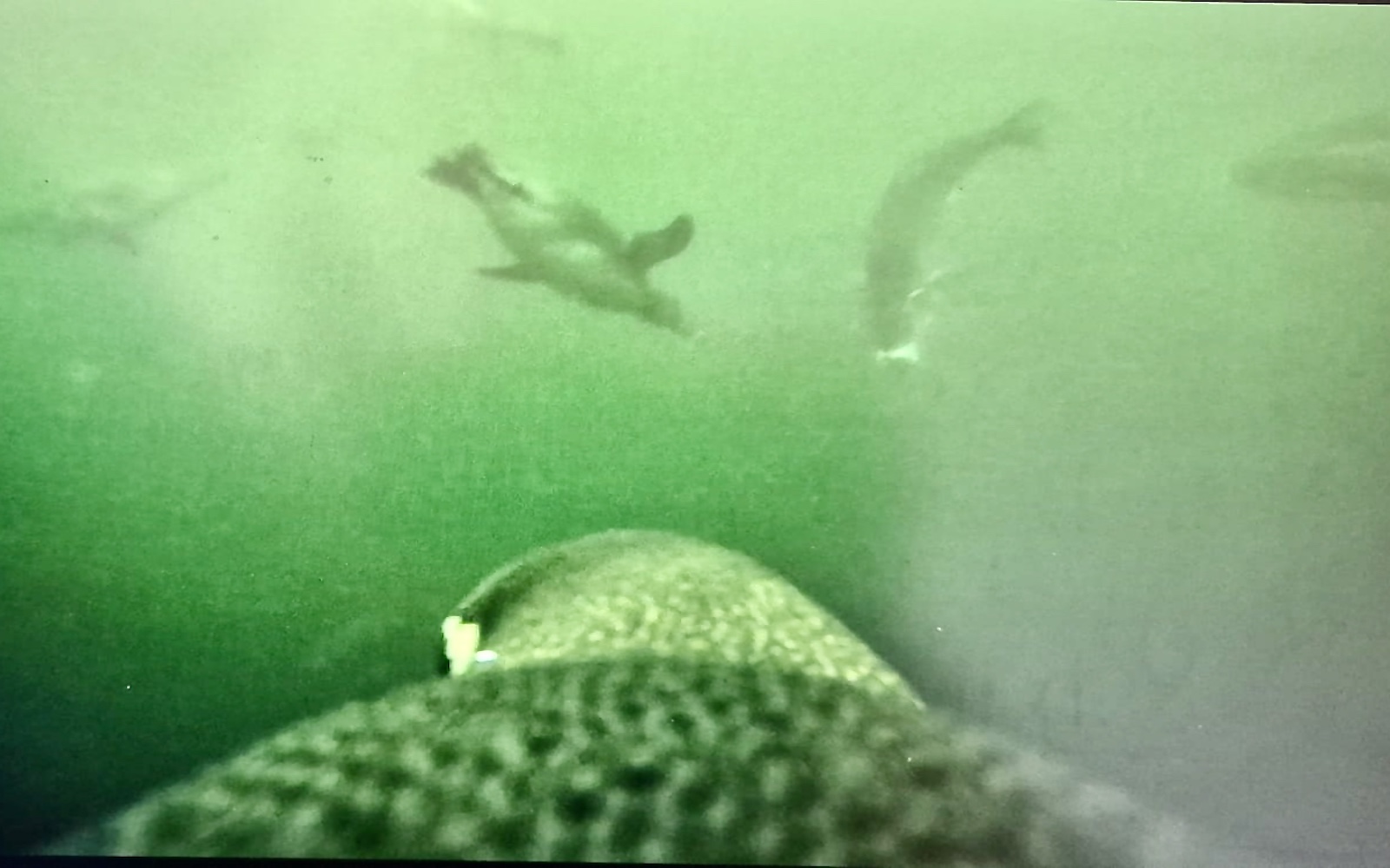 Newsletter +++ Oktober November 2025 +++