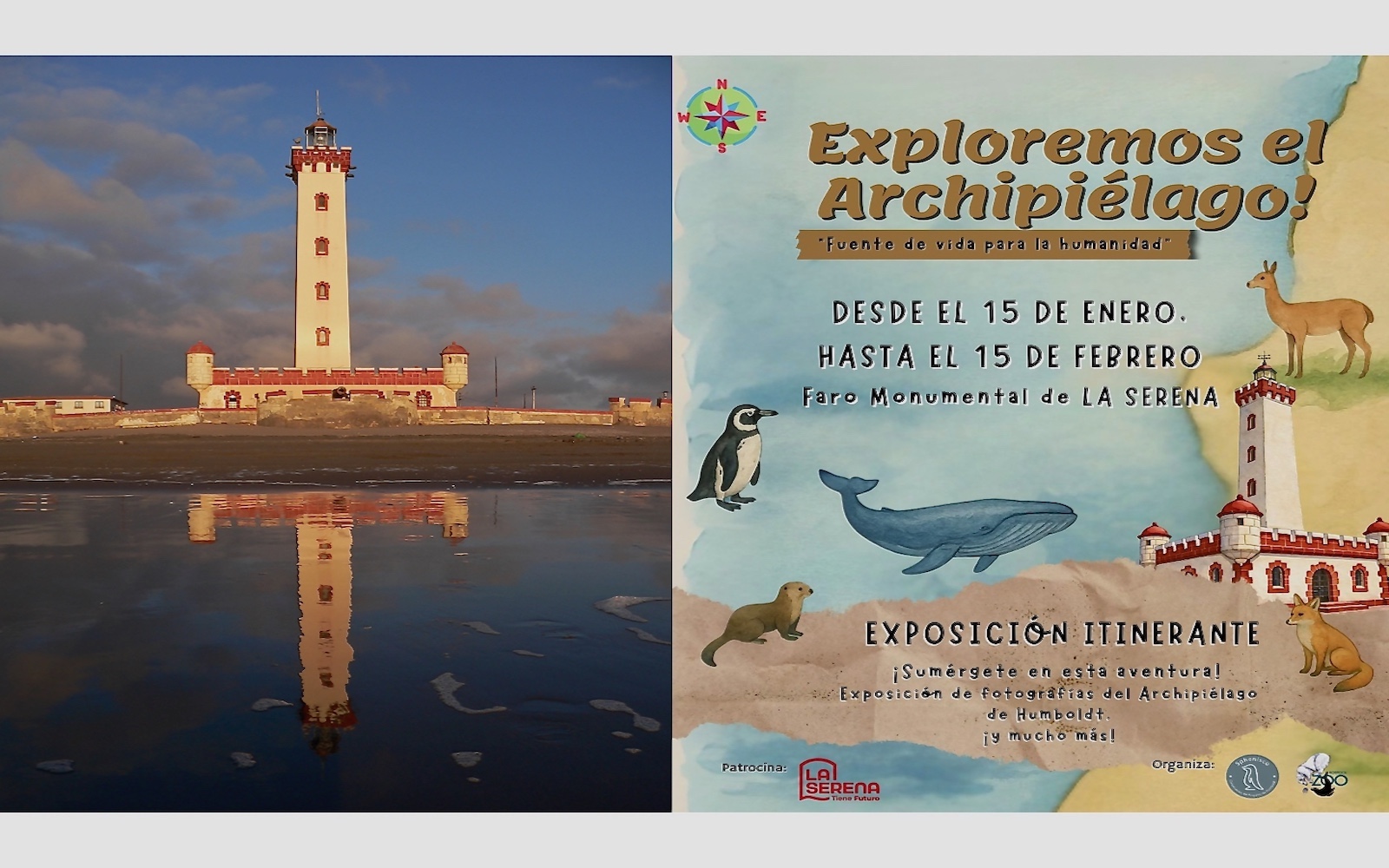 Newsletter +++ December 2025 / January 2026+++