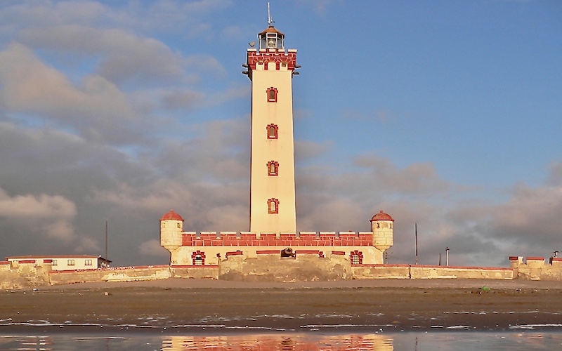 Penguin Awareness Day