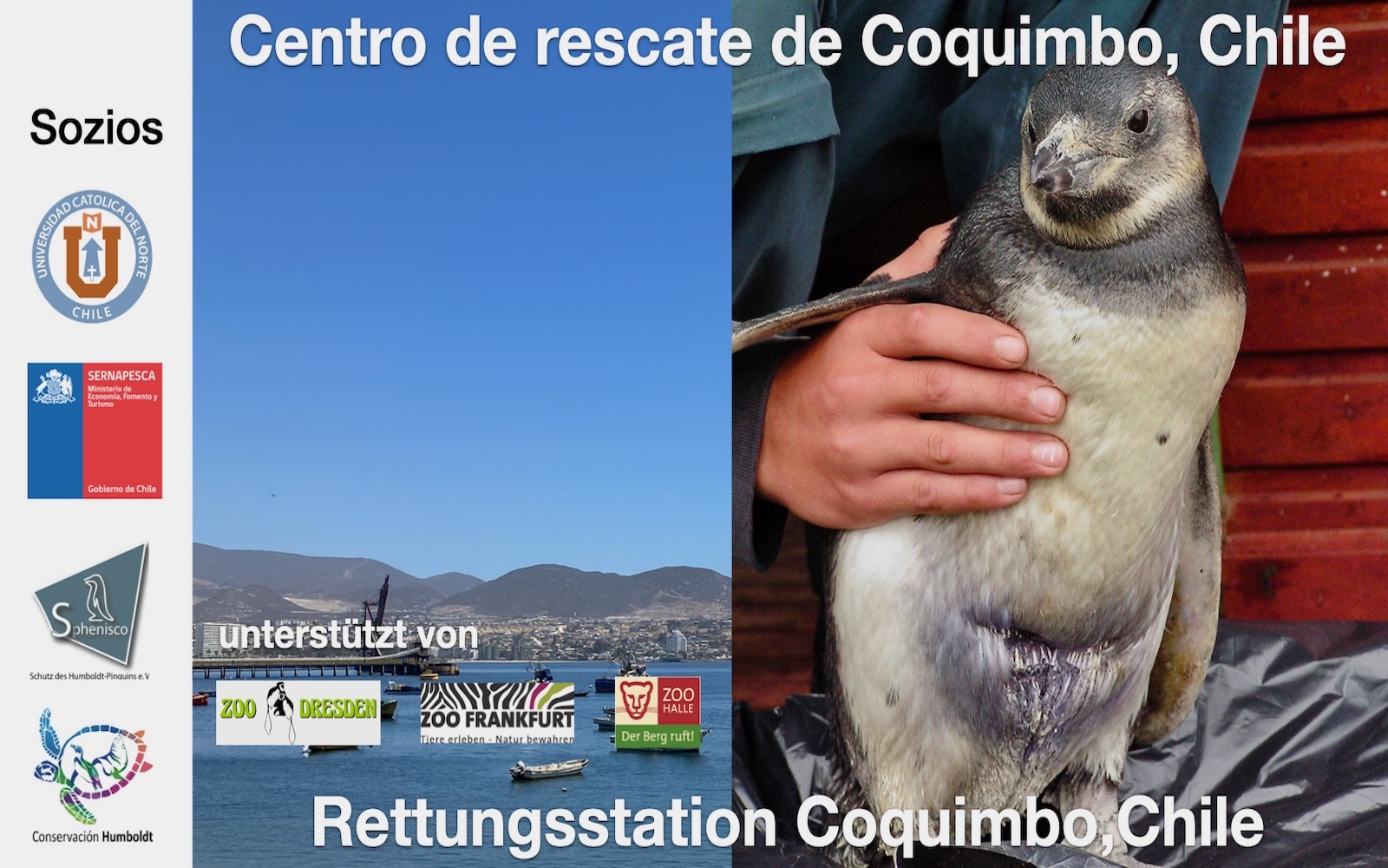 Rettungsstation Coquimbo – zweiter Progress Report 