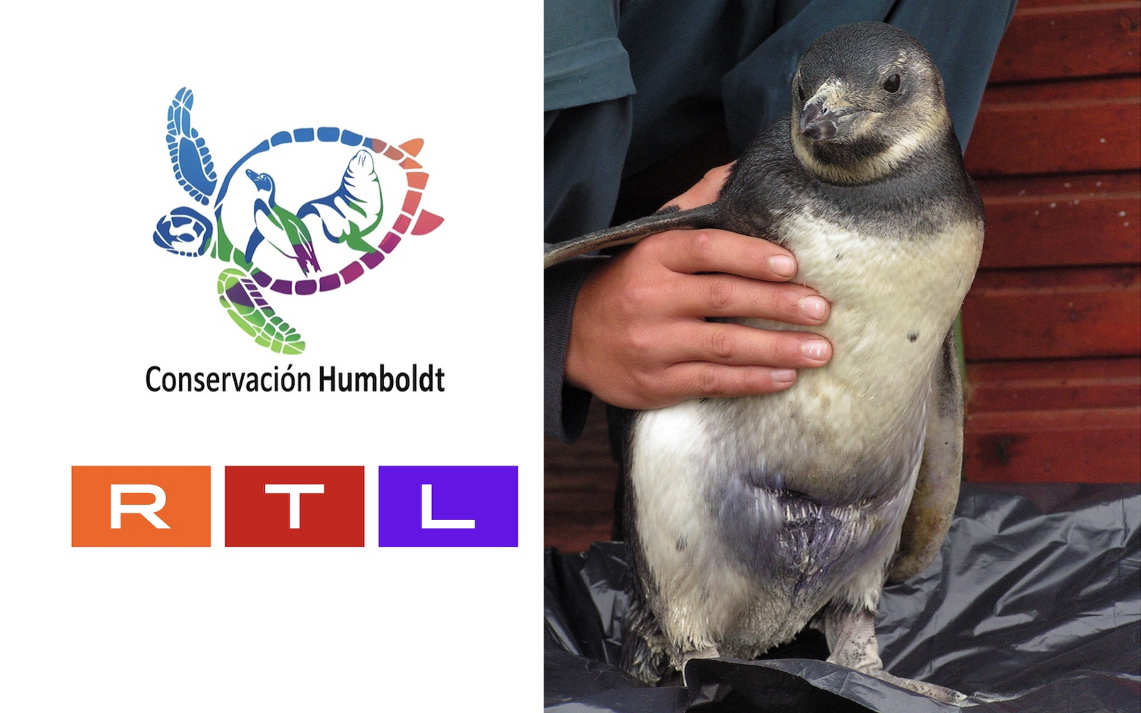 Rettungsstation - Progress Report und „Life“-Bericht