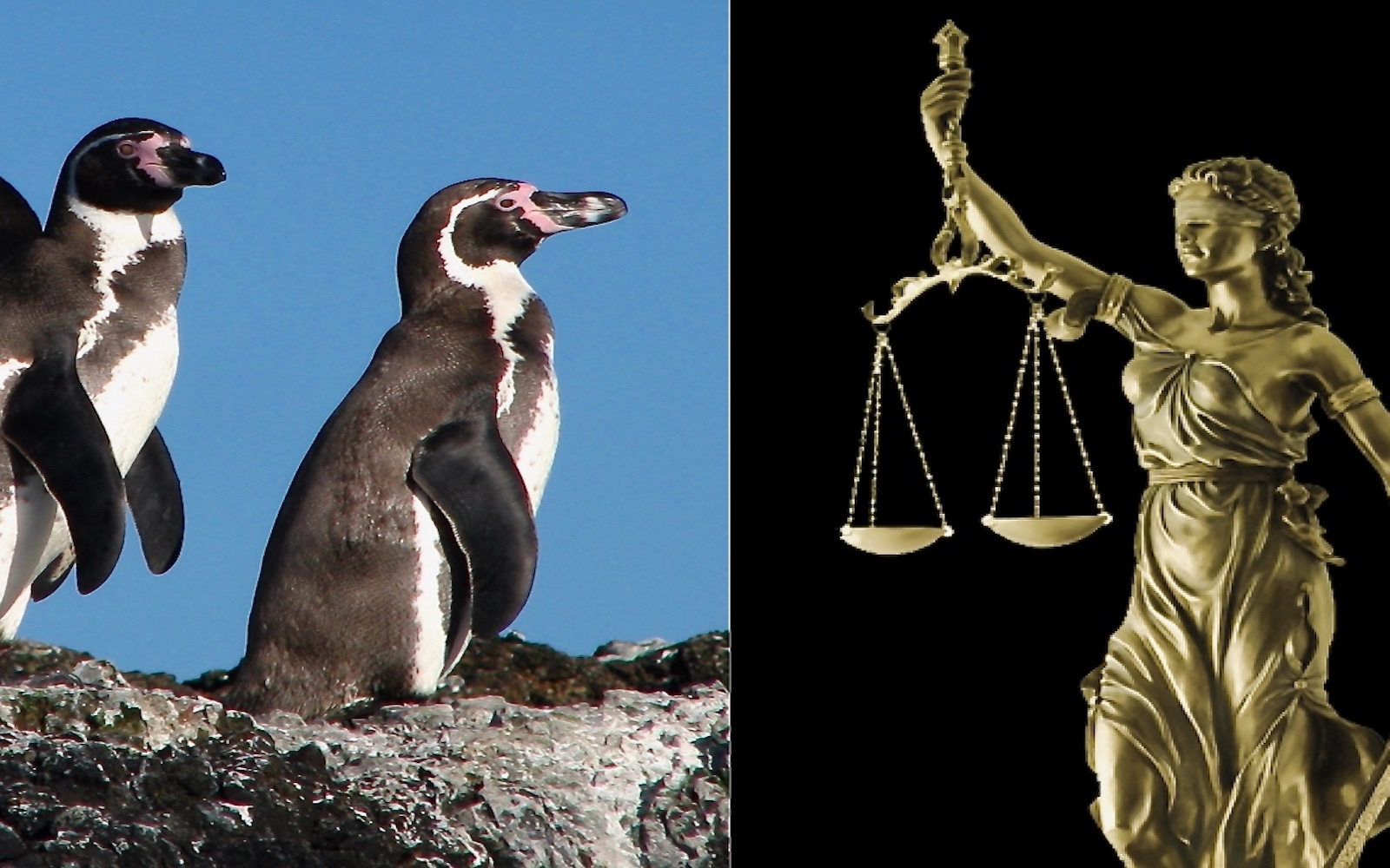 Großer Sieg für den Artenschutz